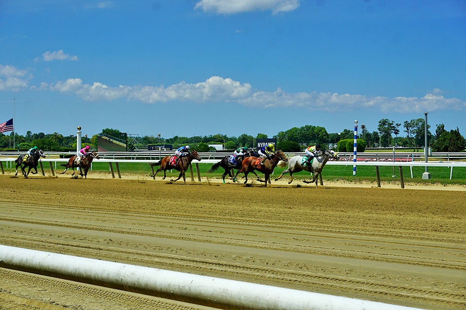 Belmont Park is a picturesque setting to enjoy a day of thoroughbred horse racing.