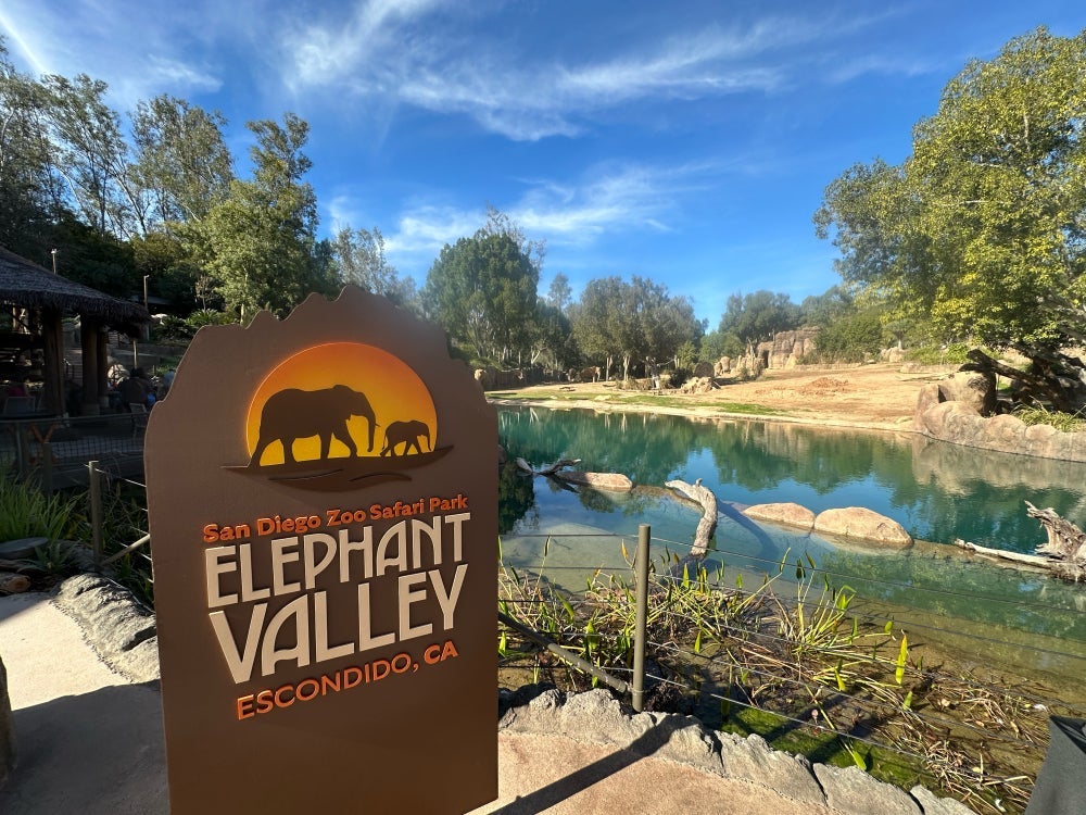 Welcome to Elephant Valley at the San Diego Zoo Safari Park!