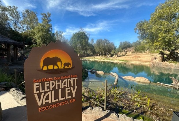 Welcome to Elephant Valley at the San Diego Zoo Safari Park!